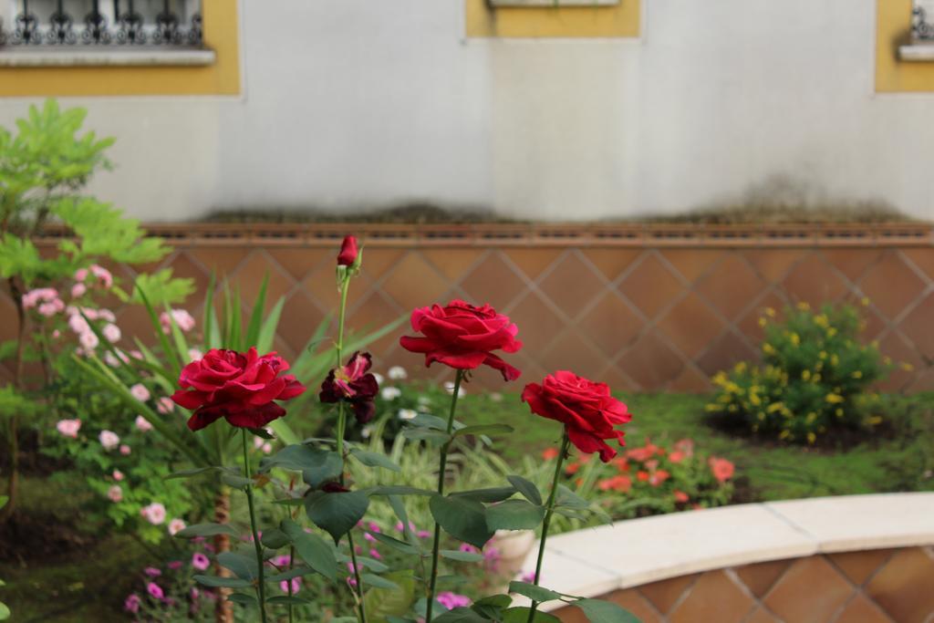 Apartamento Jardin De La Ribera. Córdoba Kültér fotó